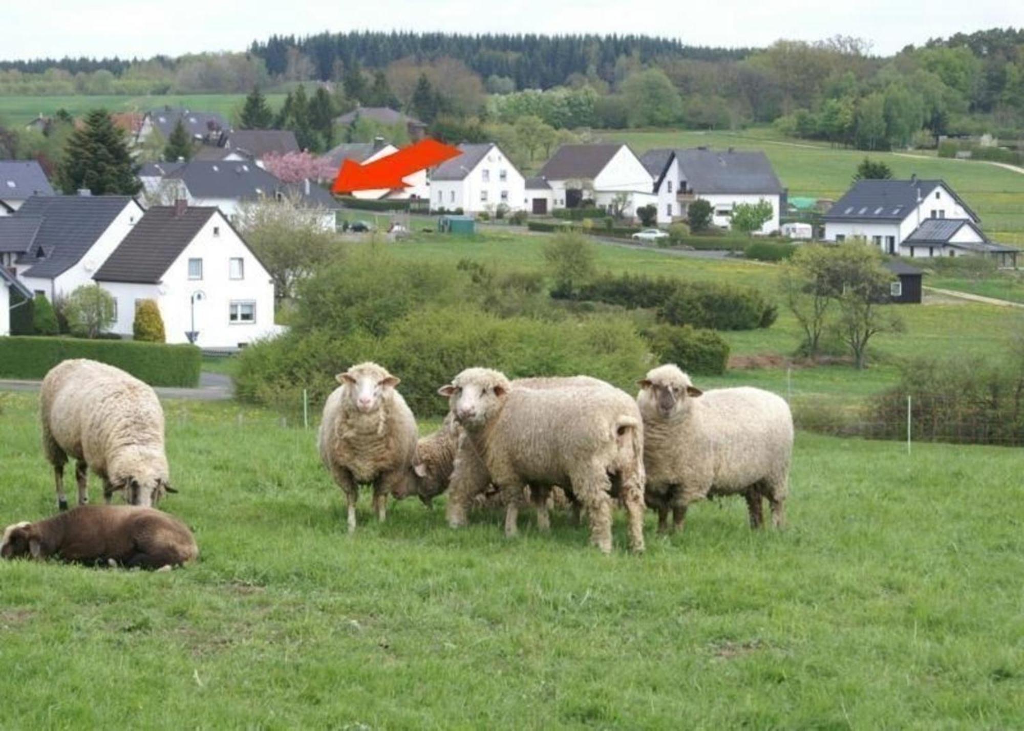 Gemuetliche Maisonette Wohnung Seelenblick Berndorf  Zewnętrze zdjęcie